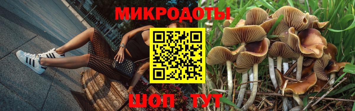 Галлюциногенные грибы мицелий Аксай