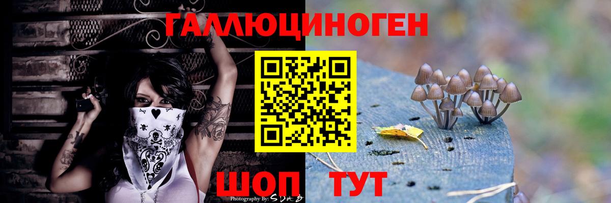 Псилоцибиновые грибы Psilocybe  Вход с VPN  что такое   Аксай 
